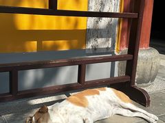 -龙华素斋(龙华路店)