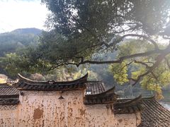 -杨家堂村