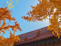 -故宫博物院(故宫)