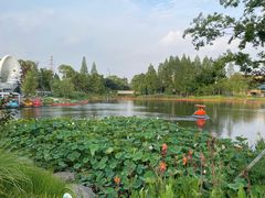 -宁波儿童公园(鄞州区)