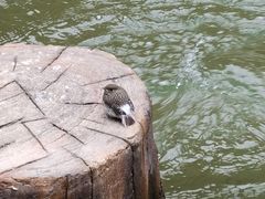 -车溪民俗旅游区