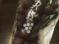 海堤葡萄园-海堤葡萄园中小学生研学基地