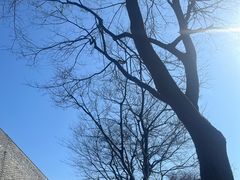 -相门城墙文化休闲景区