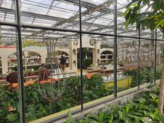 -南宫五洲植物乐园