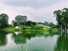 -黄龙溪欢乐田园