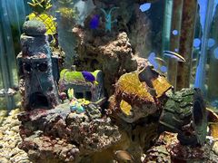 -太平洋海底世界