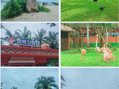 -三亚蜈支洲岛旅游区