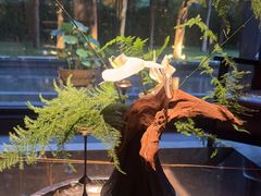 -曲水兰亭(北京四惠店)