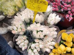 -循礼门鲜花花市(武汉循礼门店)