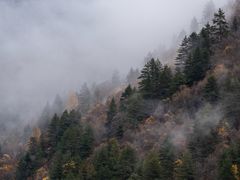 -九寨沟-树正沟