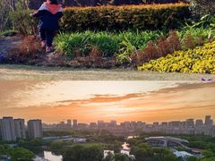 -新江湾城公园
