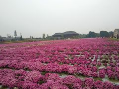 -中国天府农业博览园