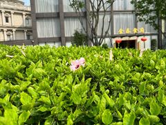 -金泰食府(竹园店)