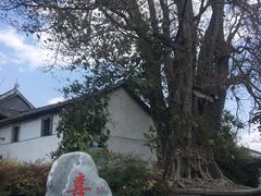 -杨顺宝喜洲粑粑