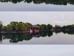 -百脉泉景区