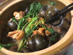 -食爺炭炉鸡煲·烧烤