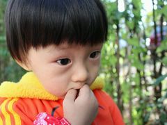 -秀丽东方