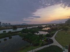 -芒洲湿地公园