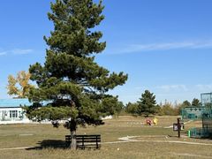 -北京西山国家森林公园