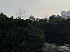 -成都市活水公园