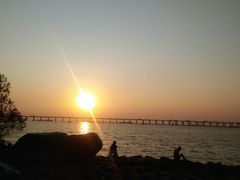 -宝安西湾红树林湿地公园