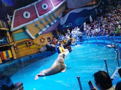 -烟台海昌鲸鲨海洋公园