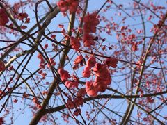 -永定河休闲森林公园