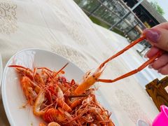 -长鹿旅游休博园