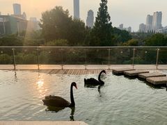 -南京圣和府邸豪华精选酒店