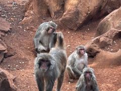 -昆明动物园