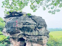 -广州莲花山旅游区