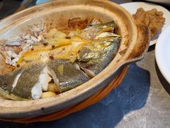 -1937青岛老味道·海肠捞饭·青岛菜(大鲍岛栈桥店)