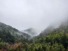 -九龙江国家森林公园