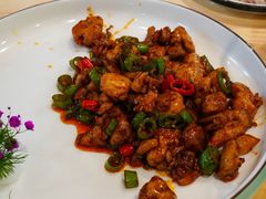 -丁老爷子苏香圆