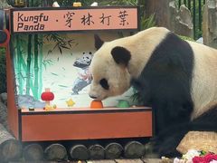 -大连森林动物园