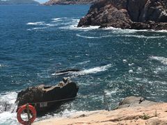 -广东惠东海龟国家级自然保护区