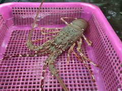 -班赞海鲜市场