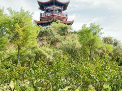 -南大港湿地风景区