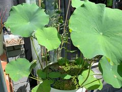 -陶野咖啡·面包披萨
