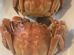 大闸蟹-好兄弟郭巨海鲜(天一阁店)