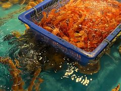 -拉完海鲜大排档(温岭店)