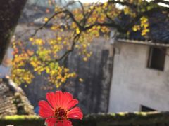 -塔川景区