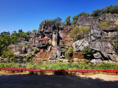-金鸡山公园