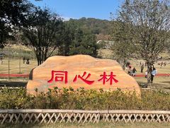 -牛岗山公园