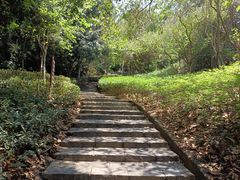 -清溪大王山森林公园