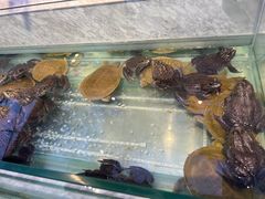 -川骄海鲜自助(河东店)