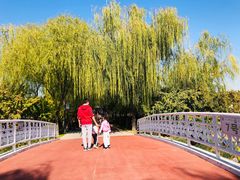 -大兴滨河森林公园