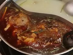 -重庆烧鸡公火锅(簋街店)