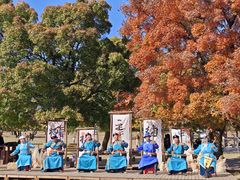 -五角枫生态旅游景区