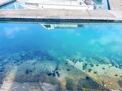 -麦哲伦丝绸度假村